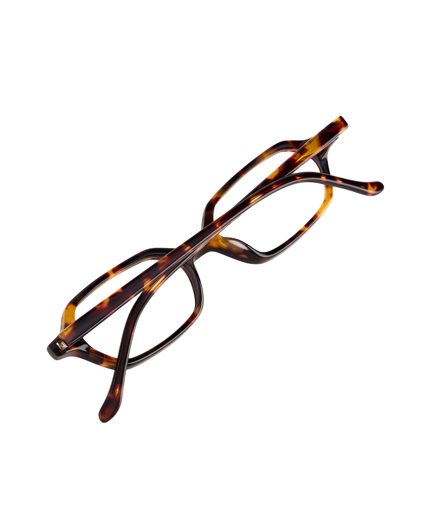 Sara - Tortoise Eyeglasses