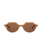 Buy Drew Mocha Sunglasses for Women – Available Online in USA UK Canada & United Arab Emirates