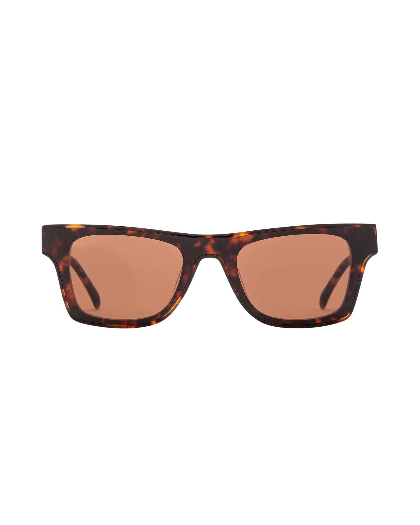 Harlow - Tortoise Sunglasses
