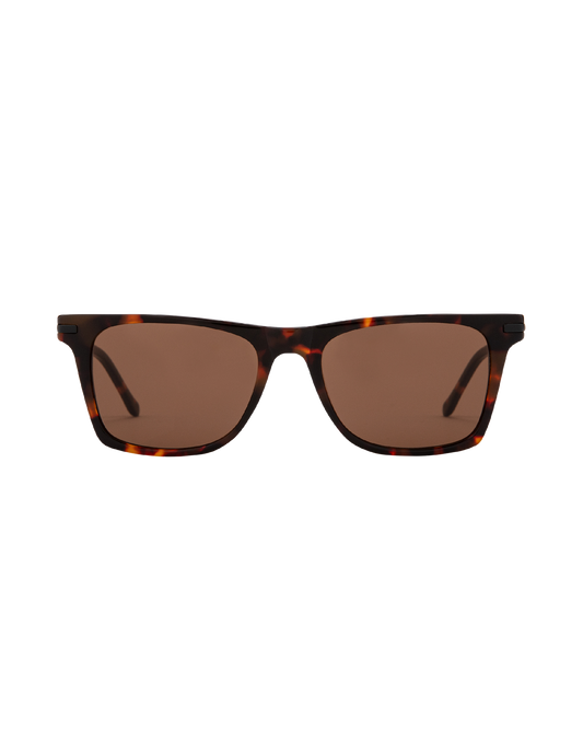 Harper 2.0 - Tortoise Sunglasses