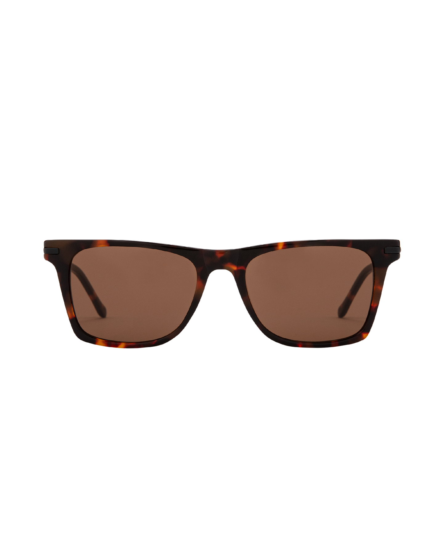 Harper 2.0 - Tortoise Sunglasses