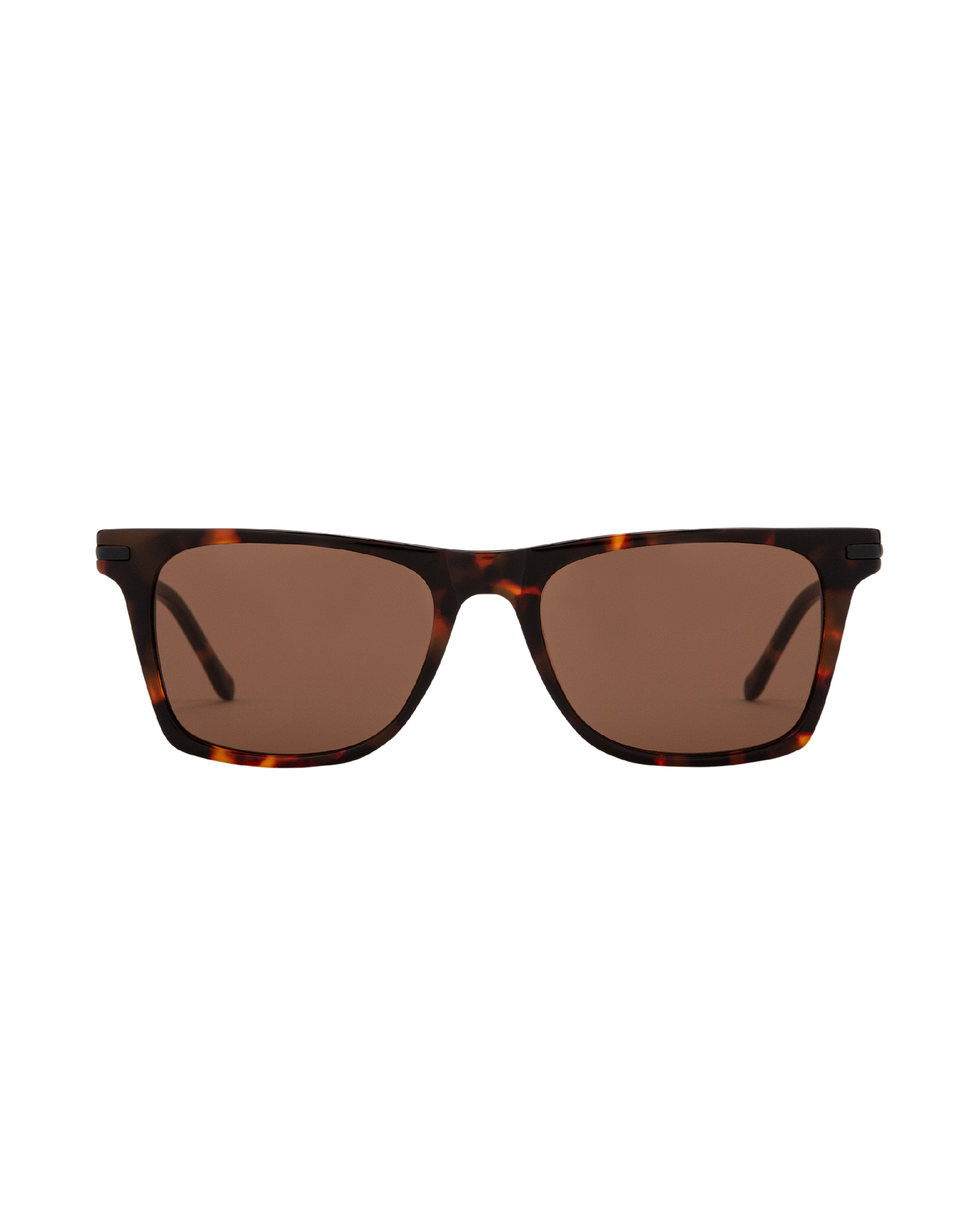 Harper 2.0 - Tortoise Sunglasses