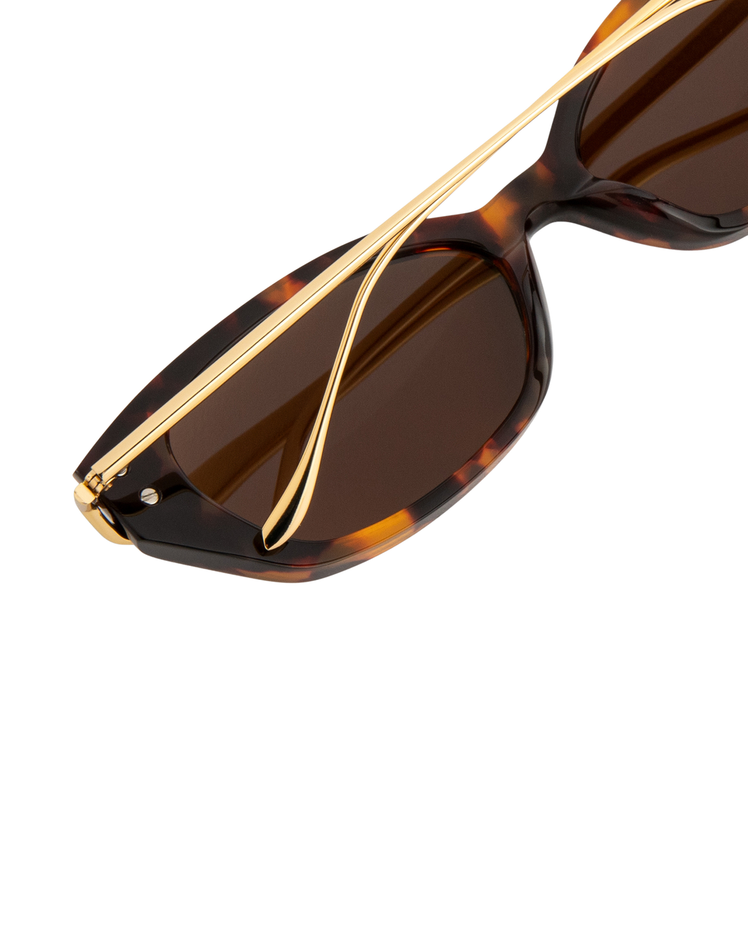 Layal - Tortoise Sunglasses