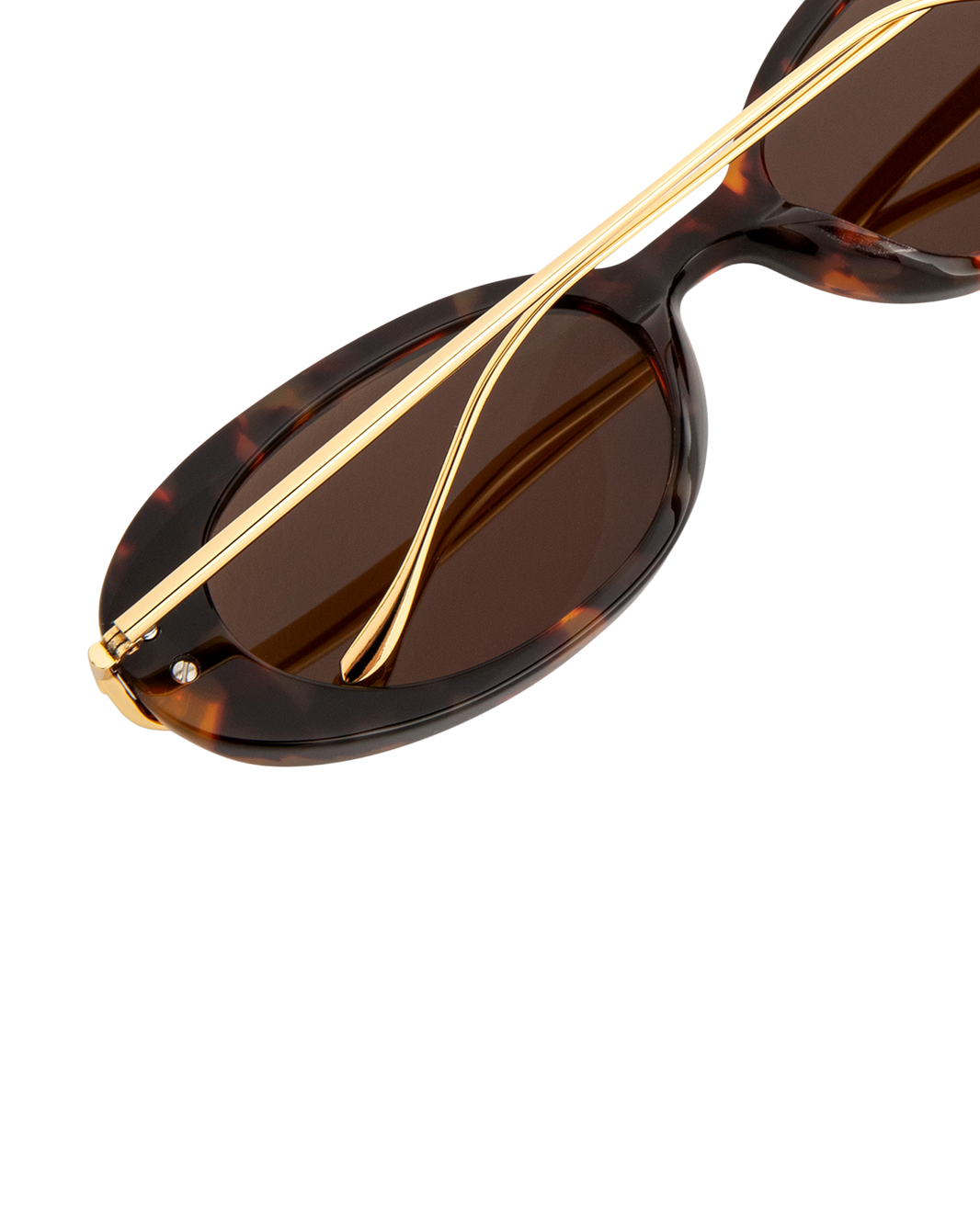 Livi - Tortoise Sunglasses