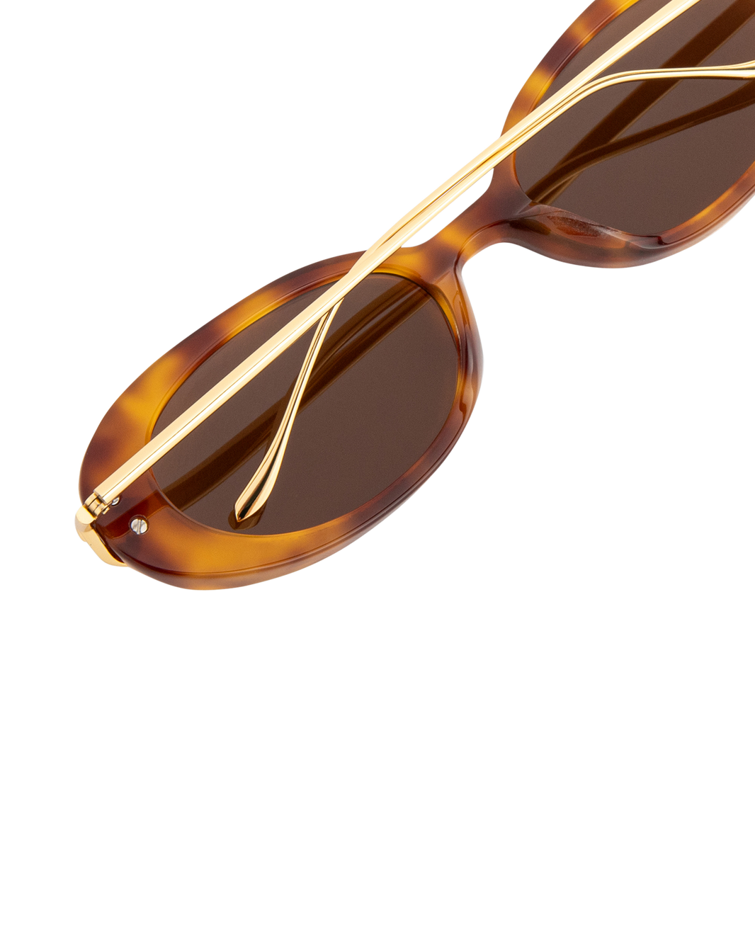Livi - Yellow Honey Tortoise Sunglasses