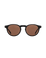 Matt - Brown Sunglasses