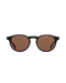 Matt - Brown Sunglasses