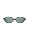 Noor - Green on Tortoise Sunglasses