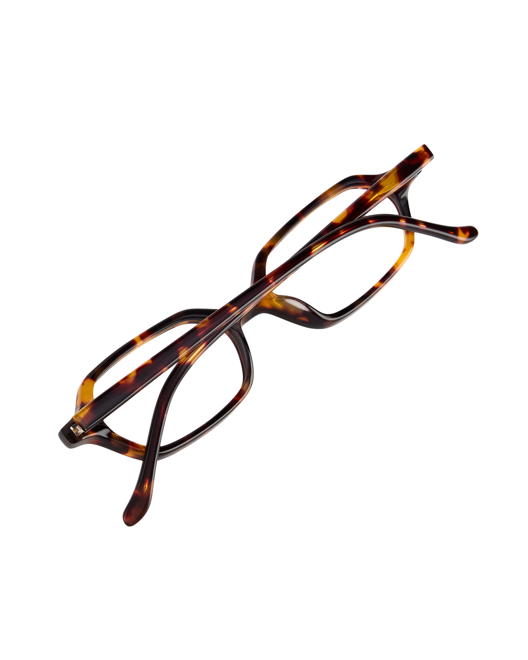 Sara - Tortoise Eyeglasses