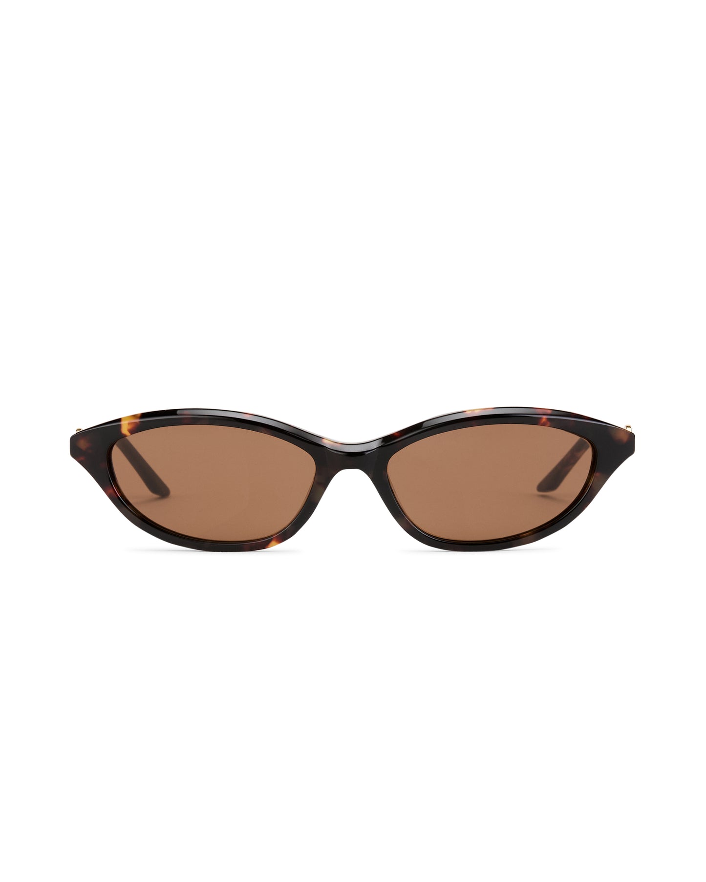 Serene - Tortoise Sunglasses