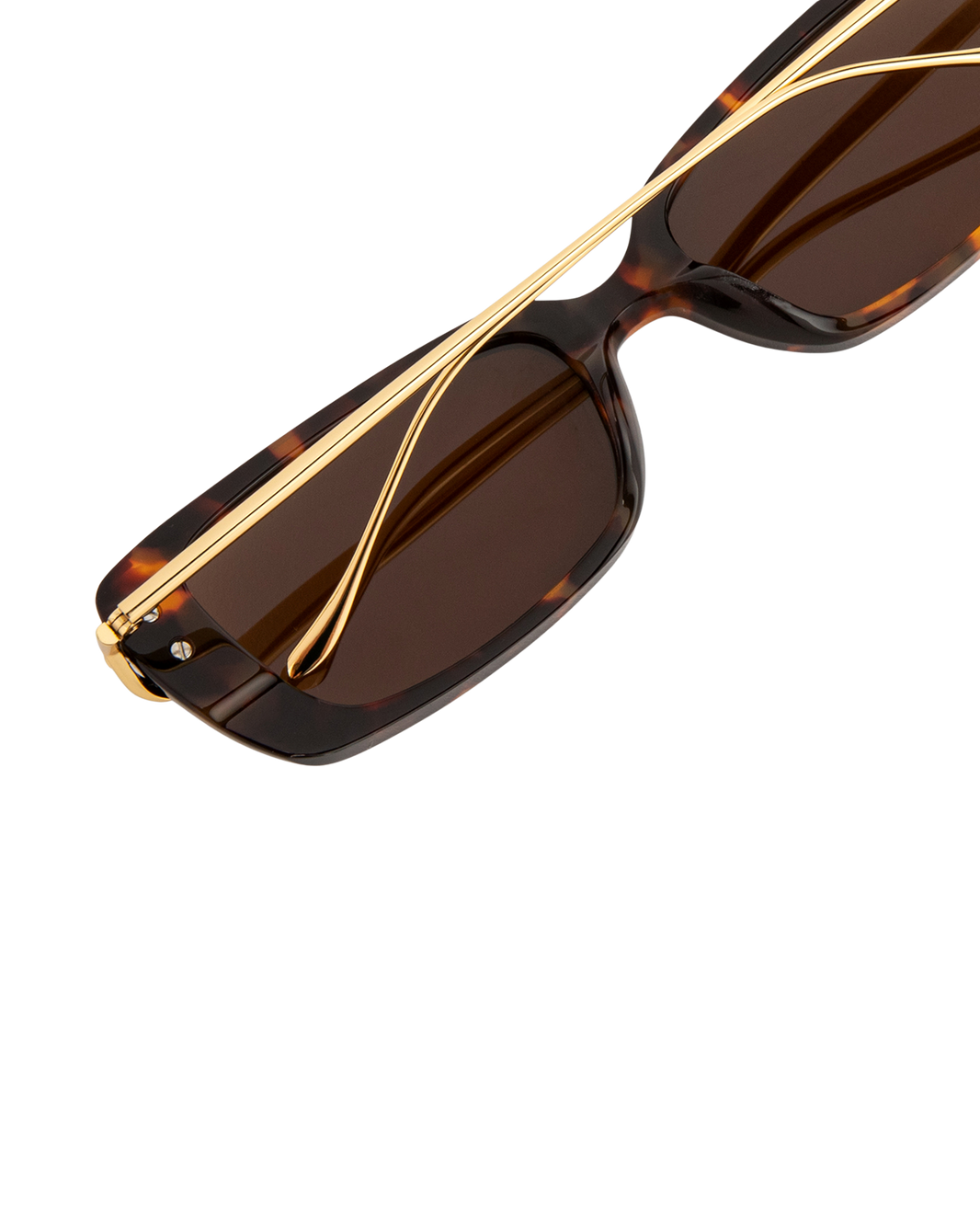 Zina - Tortoise Sunglasses